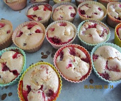 Petits gâteaux fins aux fraises