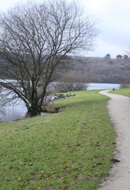 Au lac du Drennec (34)