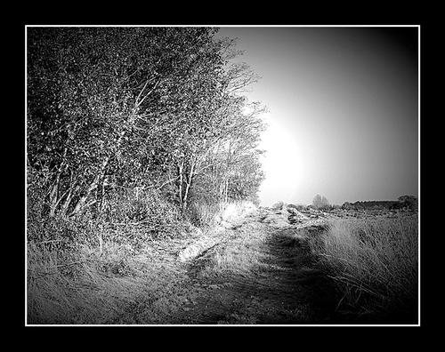 Poéie  " Au bout du chemin  "