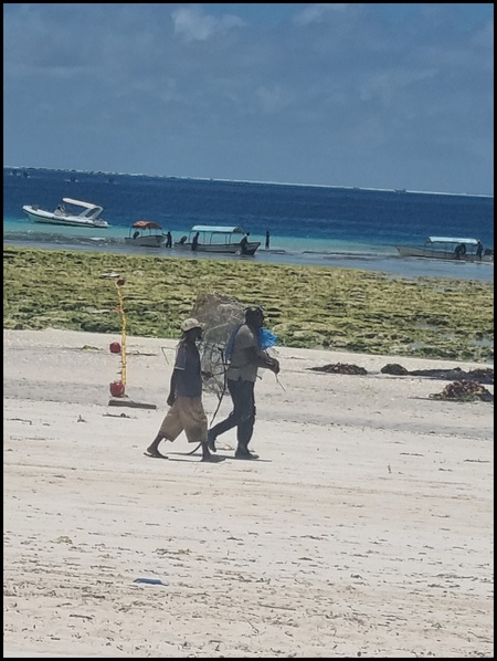 La plage de Matemwe, Zanzibar 2023