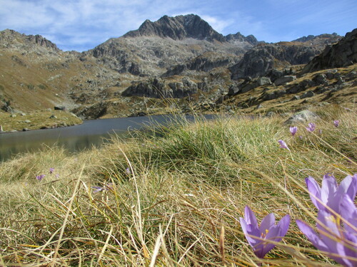 Famille/nonsco : estanh Obago (Circ de Colomèrs) - Val d'Aran/Espagne