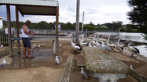 De sydney à Melbourne