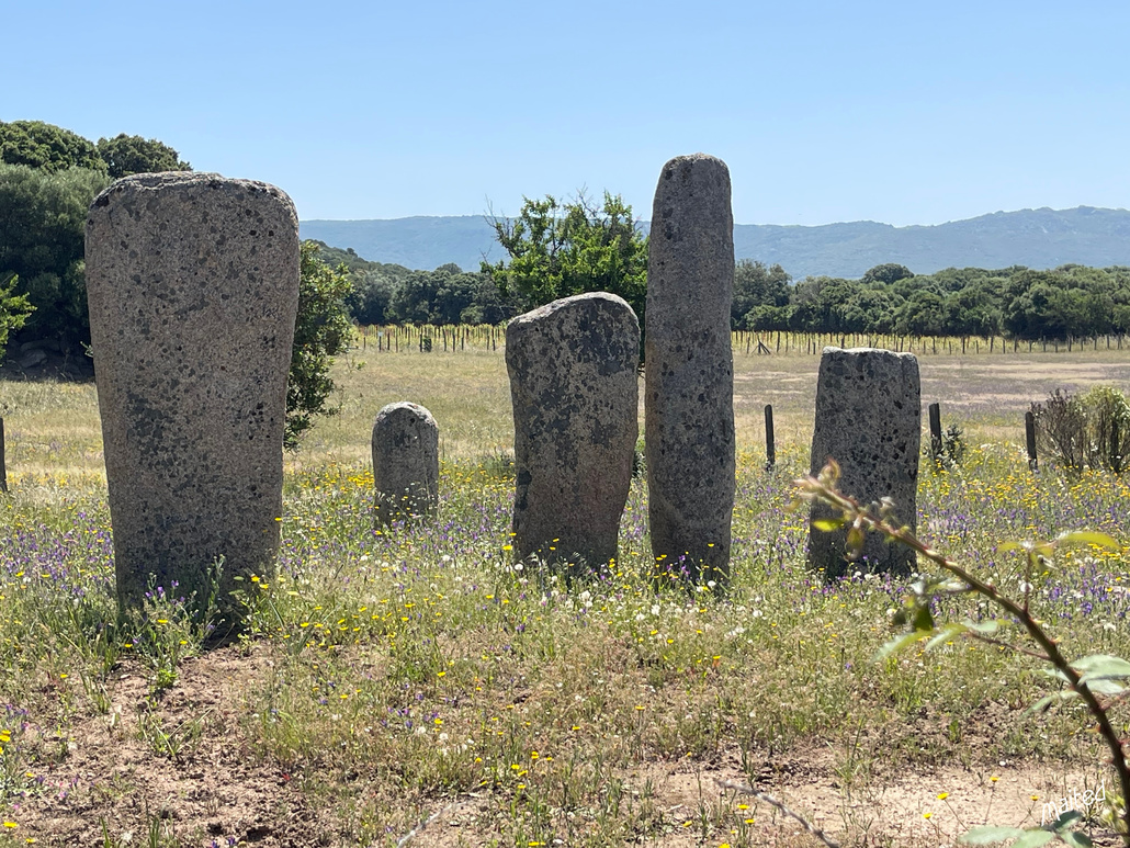 Site mégalithique de Cauria - Alignement de Stantari - Sartene (1)