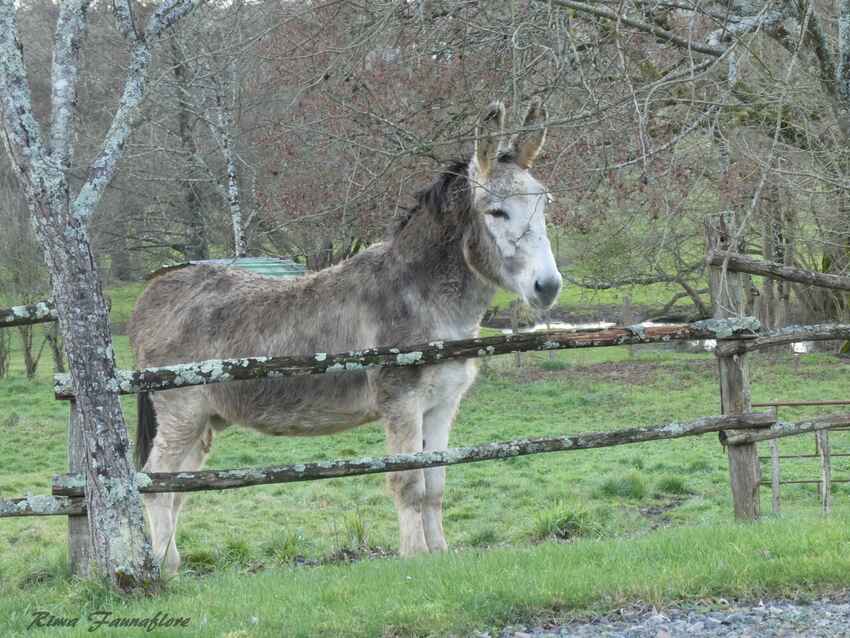 A la campagne,