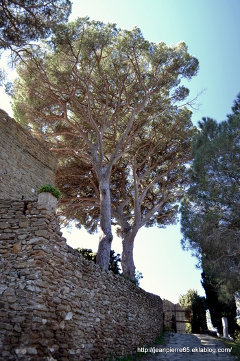 2014.03.26 Bormes les Mimosas, Domaine de Rayol (département du Var)