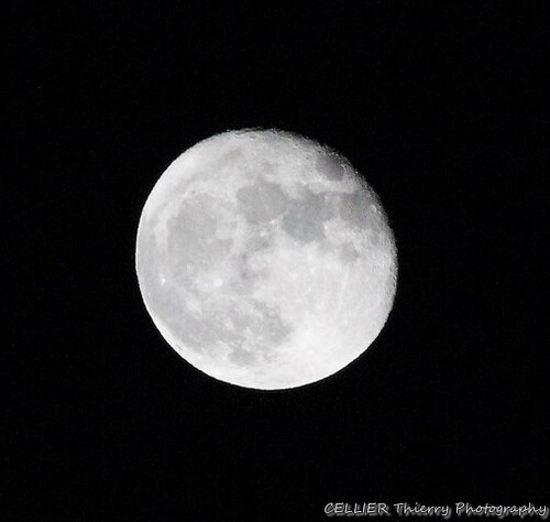 paysage de nuit avec pleine lune : 08 novembre 2014