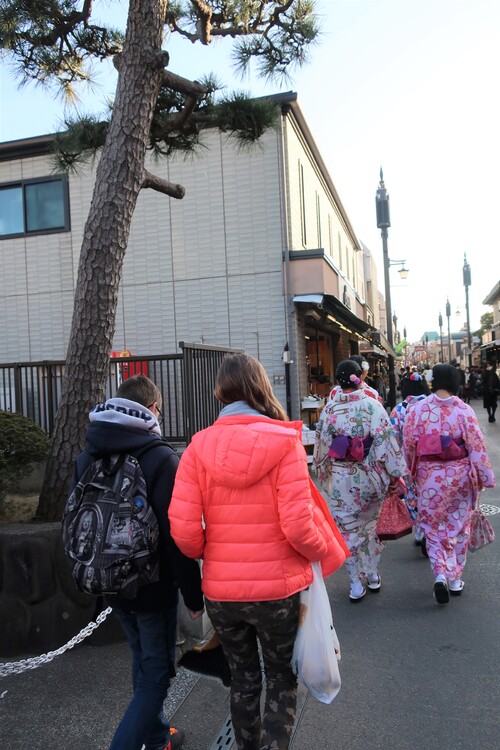 Enoshima / Kamakura