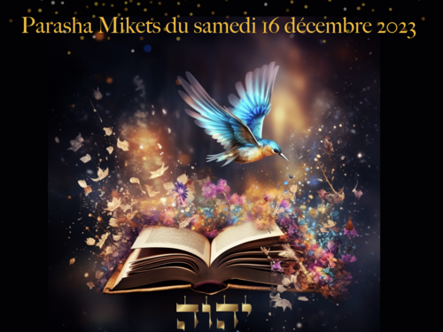 Parasha Mikets du samedi 15 décembre 2023.