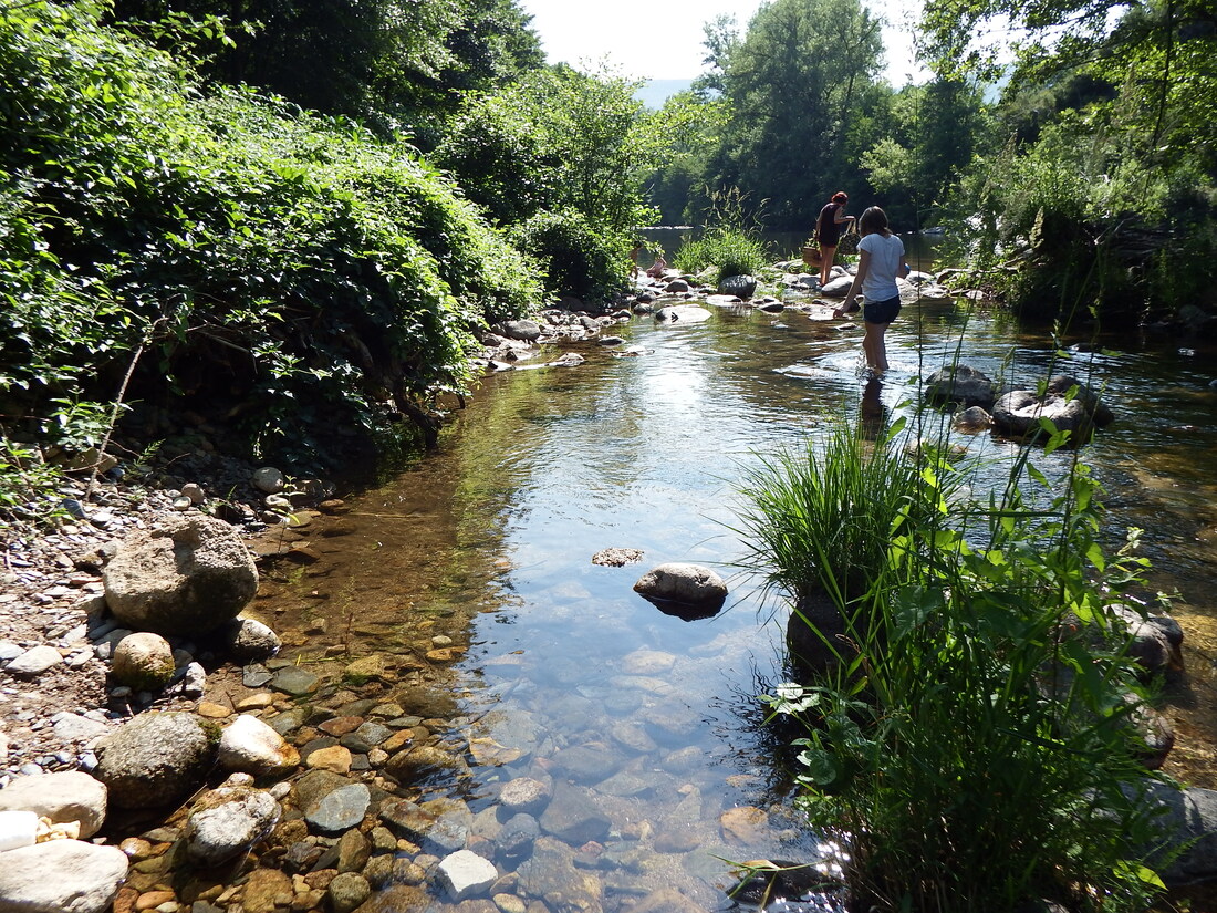 un bord de rivière dans le Gard