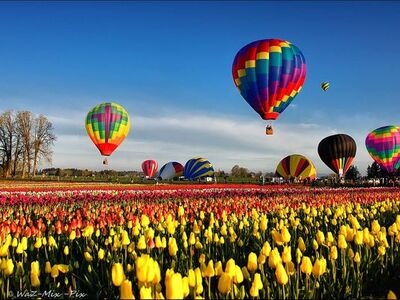 season balloons spring balloons 
