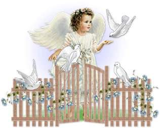 Anges images