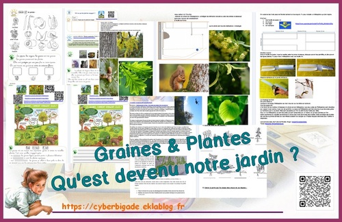 * QLM P1: gros dossier "Qu'est devenu notre jardin ?" sur les graines *