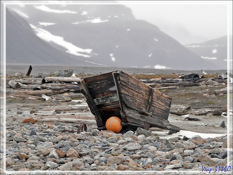 08/07/2014 : Débarquement à l'ancienne station baleinière de Smeerenburg - Ile Amsterdamøya - Spitzberg - Svalbard - Norvège