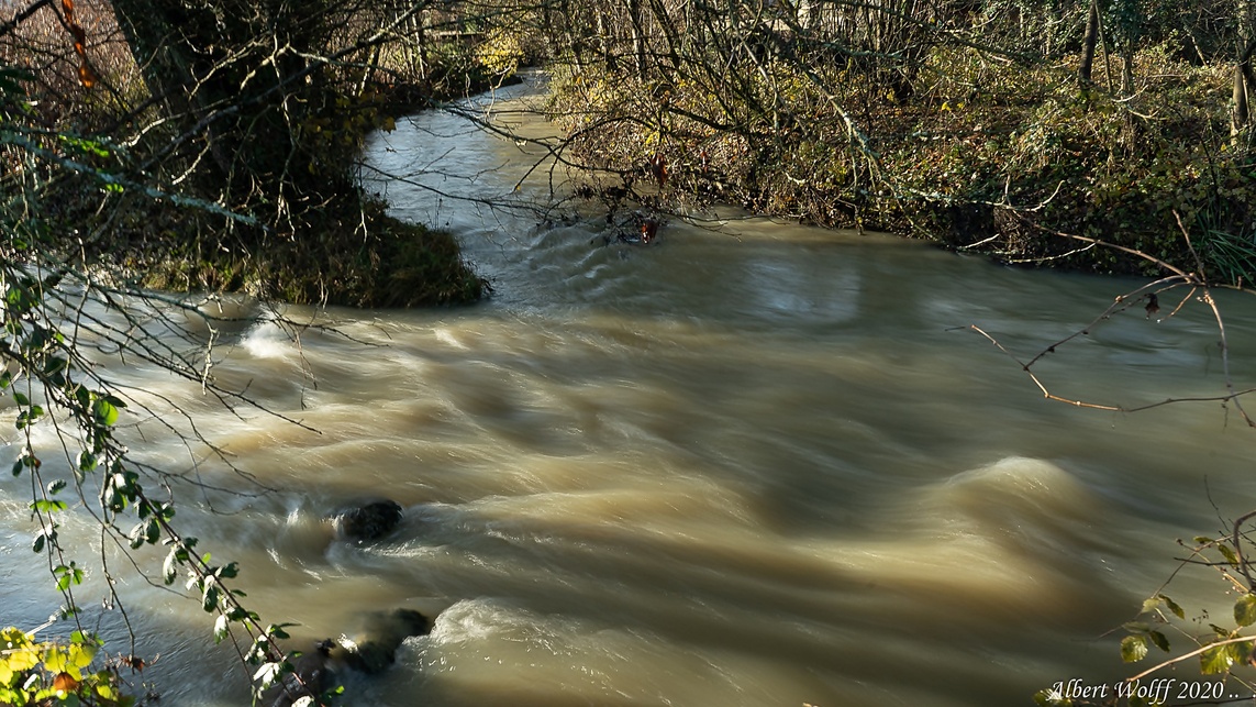 Au long de la Brenne  (1)