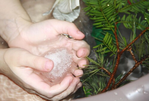 Bain d'hiver au sapin