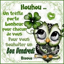 bonjour a vous  !!