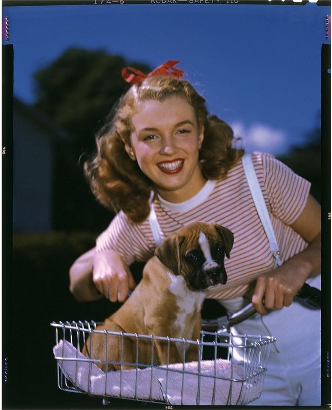 1946 Norma Jean avec un chien par Richard C Miller The Dog Sitting 