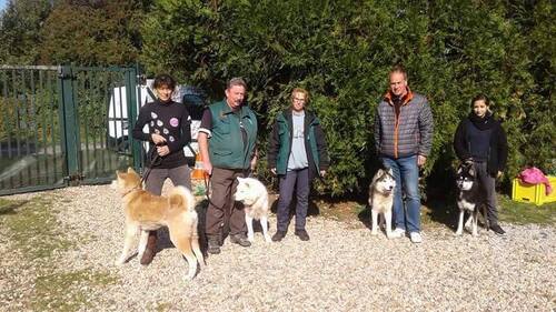 Sauvetage de chiens nordiques retirés d'élevage / SPA de Sarrebourg et Forbach