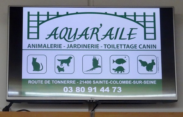 L'association des Vitrines du Pays Châtillonnais a installé des écrans publicitaires dans différents lieux de Châtillon sur Seine