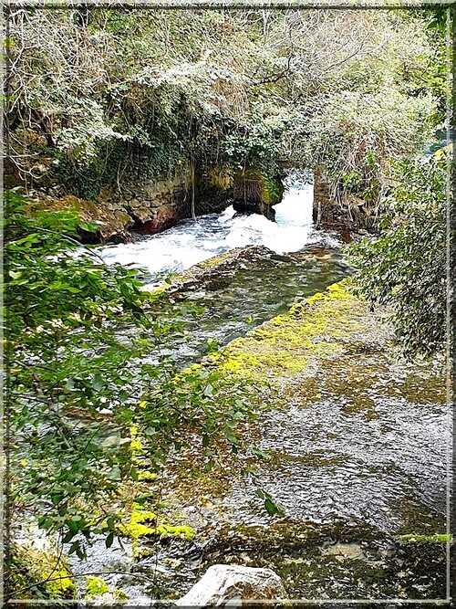 1026 - Fontaine de Vaucluse (84)