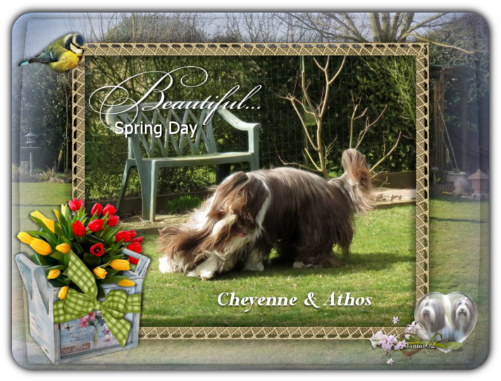 ♥ Athos & Cheyenne ♥ *photos mars 2015 *