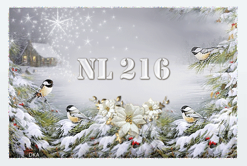 Modèles 2017 NOËL & Fin d'année de NL207 à 