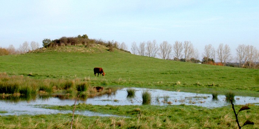 Paysage de Brenne, Rosnay