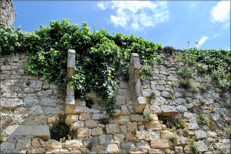 Photos de la basse cour - Château médiéval de Langoiran