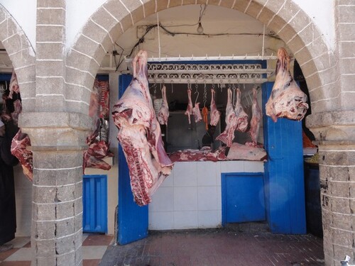 Visite d'ESSAOUIRA