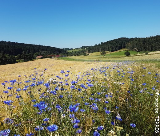 Samedi 30/06/2018