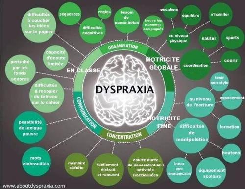 Mieux s'informer pour mieux comprendre : Disphasie, Dispraxie, Dislexie, Discalculie