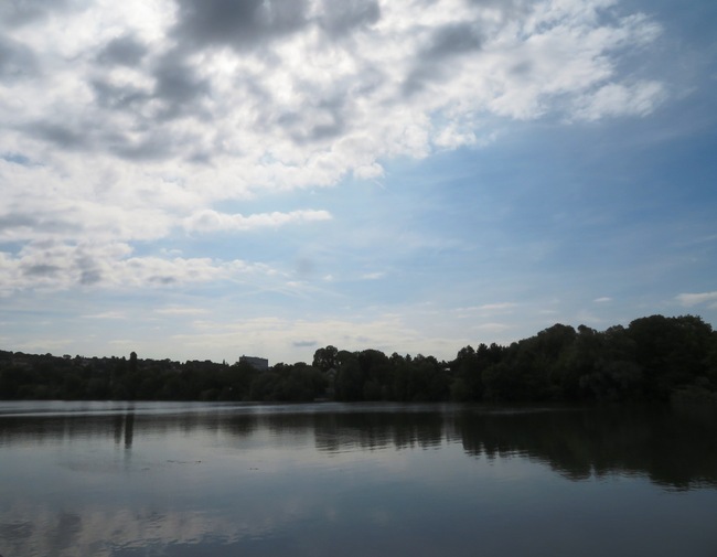 Randonnée jusqu'à Melun, en passant par les bords de Seine, forêts de Seinart, de Rougeau... (108 km)