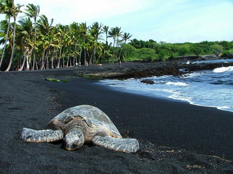 Images du monde : Plages extraordinaires