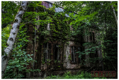 Le hameau de l'orgue