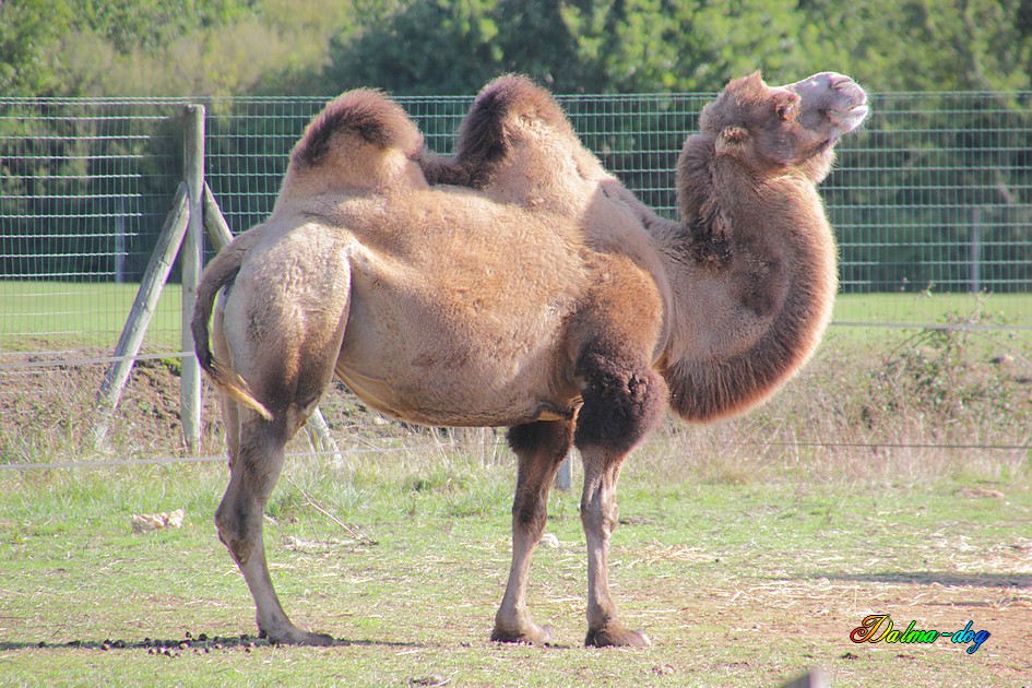 parc" planete sauvage" suite