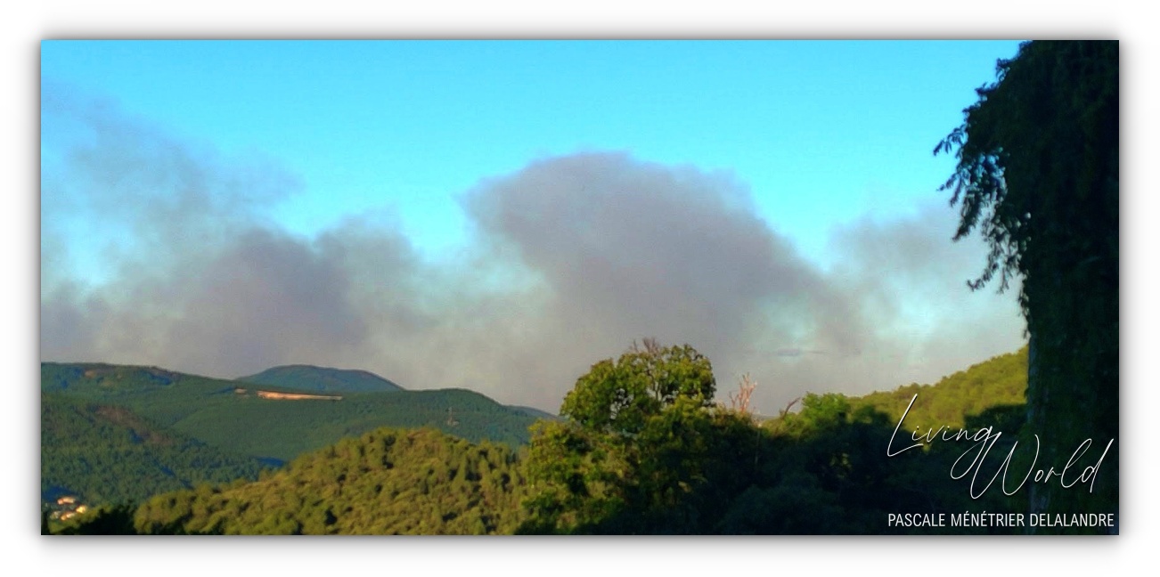07 07 2022 - 17h - Vu de mes fenêtres le « Méga feu » dans le Gard