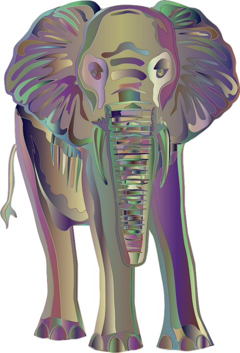 éléphant png4