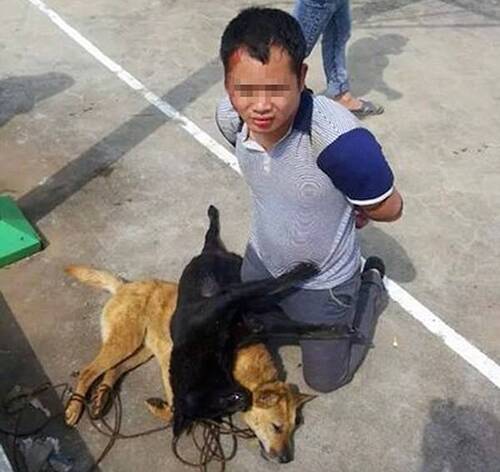 Des tueurs de chiens sont passés à tabac par des villageois chinois pendant plus de neuf heures.