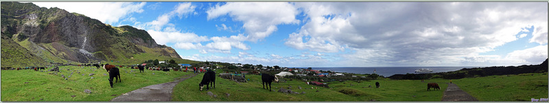 Nous traversons les pâturages afin d'entrer dans le village d'Edinburgh of the Seven Seas - Tristan da Cunha