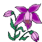 fleurs-fleurs-orchidees-00003.gif