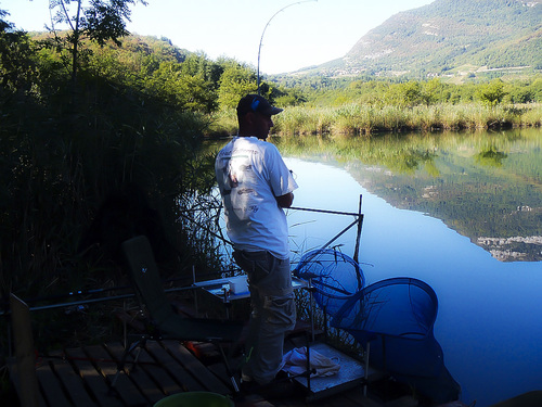 Reprise de la pêche en étang aprés 6 ans de pause : septembre 2016 - Saint jean de chevelu