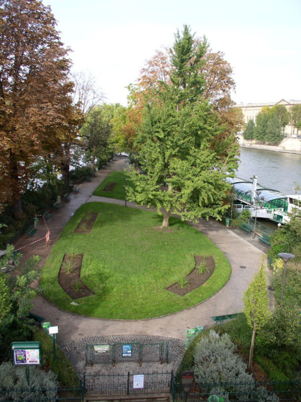 Le Pont Neuf