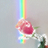 A V A T A R S : Rose Sparkle