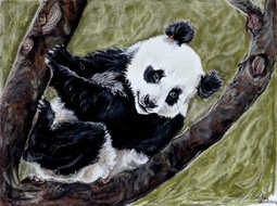 Petit panda sur sa branche (2)