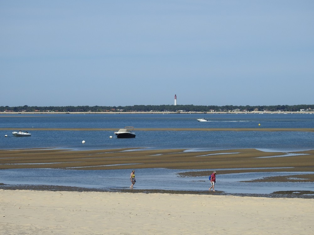 A la pêche aux coques, à Arcachon...