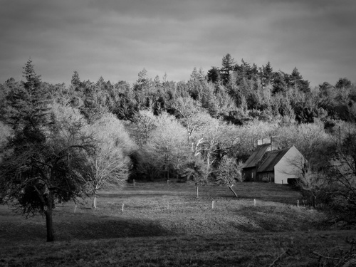 Campagne bretone...