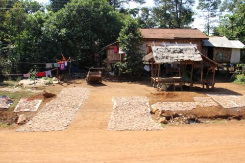 De l'île de Khong à Paksé, le plateau des Bolovens