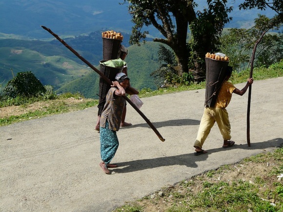  scène de vie quotidienne dans l'himalaya