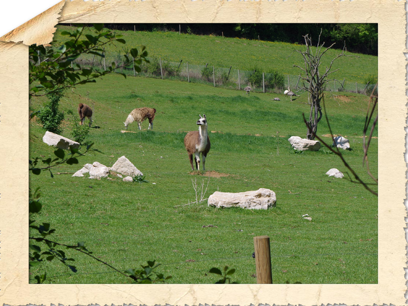 21350 Arnay sous Vitteaux  Parc de l'Auxois