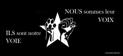 A.L.F *Front de Libération des Animaux...le FILM